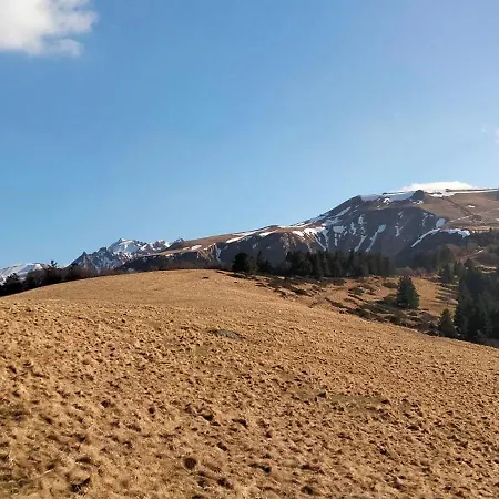 Cote Jardin La Belle Epoque *
