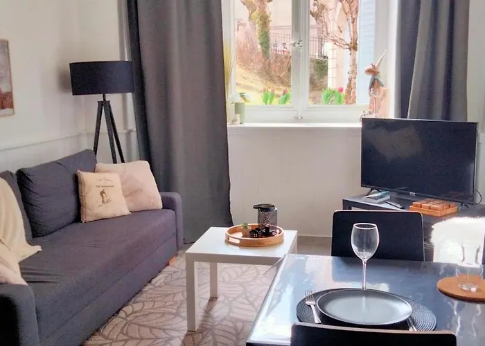 Cote Jardin La Belle Epoque Apartman La Bourboule