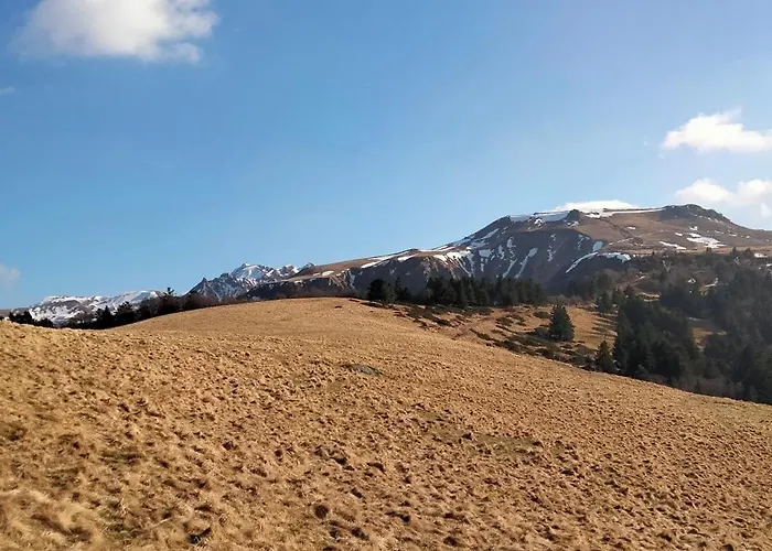 Cote Jardin La Belle Epoque *